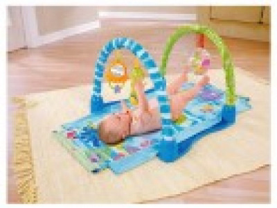 Fisher-Price Ocean Wonders Gym £11.66 @ Tesco