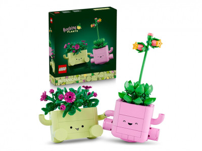 LEGO Botanicals Rocking Plants from £17.99