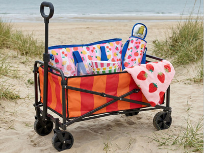 Stripe Print Foldable Camping Trolley £17