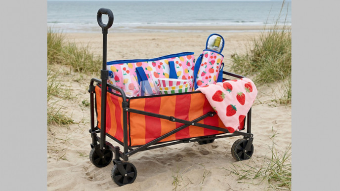 Stripe Print Foldable Camping Trolley £17 @ Online Home Shop