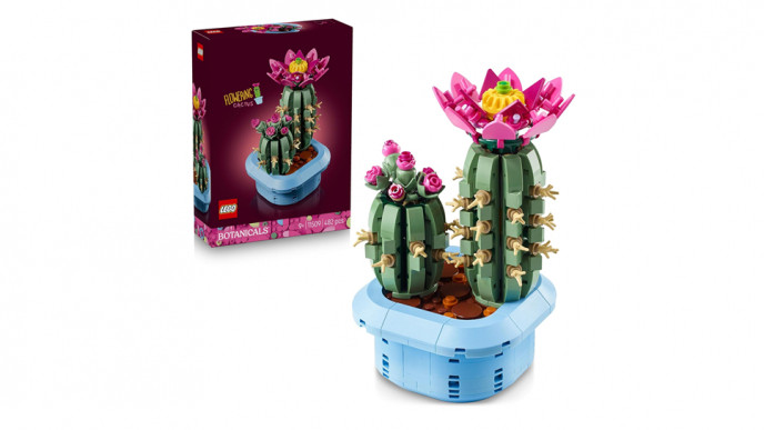 LEGO Botanicals Flowering Cactus 11509 £14.85 @ Amazon